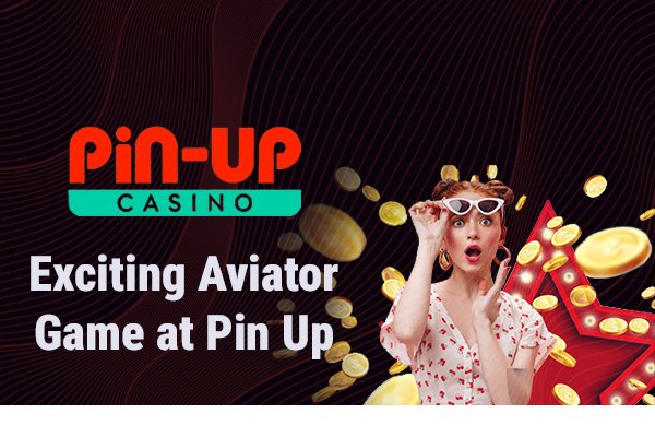 Pin Up Aviator Game